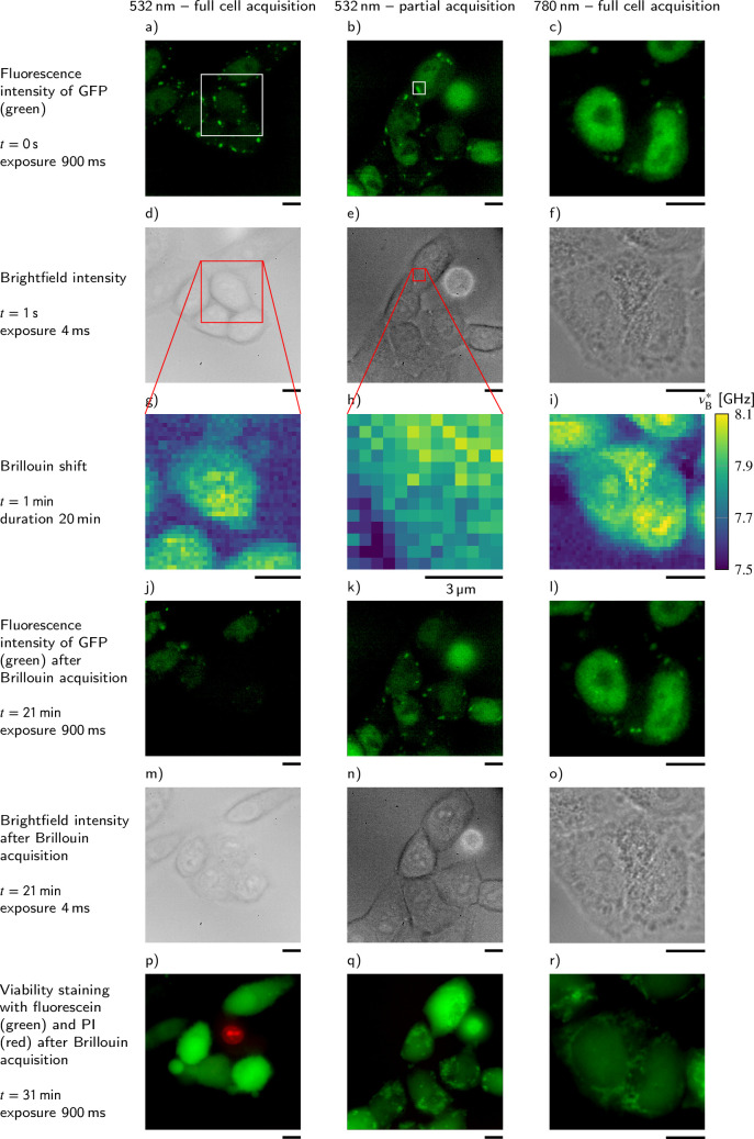 Figure 4—figure supplement 1.