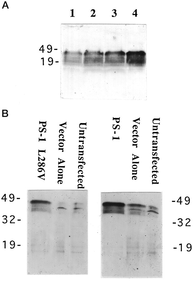 Fig. 5.