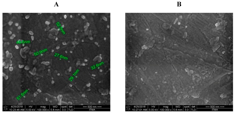 Figure 13