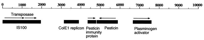 FIG. 1