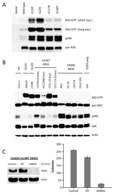 Figure. 3