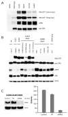 Figure. 3