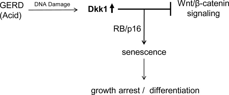 Fig. 11.