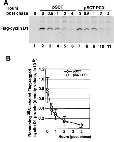 FIG. 7