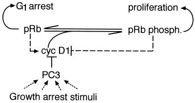 FIG. 14