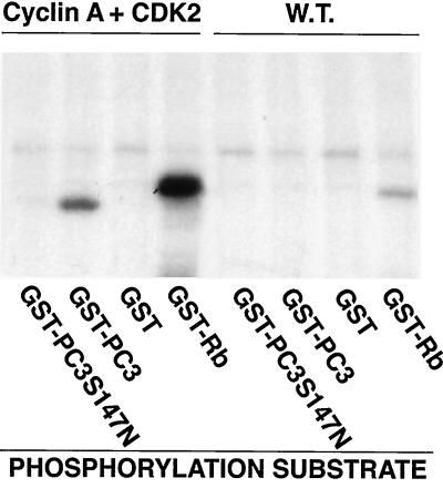 FIG. 9