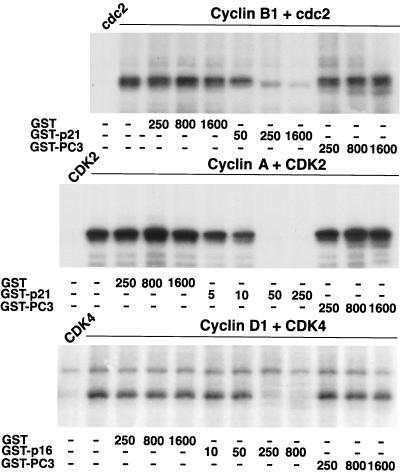 FIG. 13