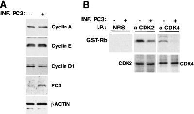 FIG. 11