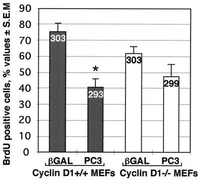 FIG. 10