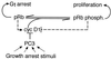 FIG. 14