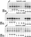 FIG. 13