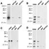 FIG. 12