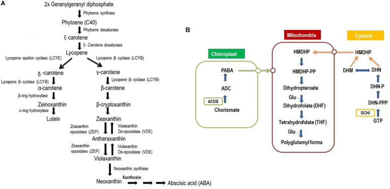 FIGURE 3