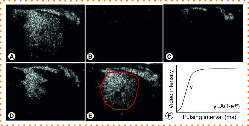 Figure 3. 