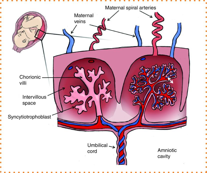 Figure 1. 