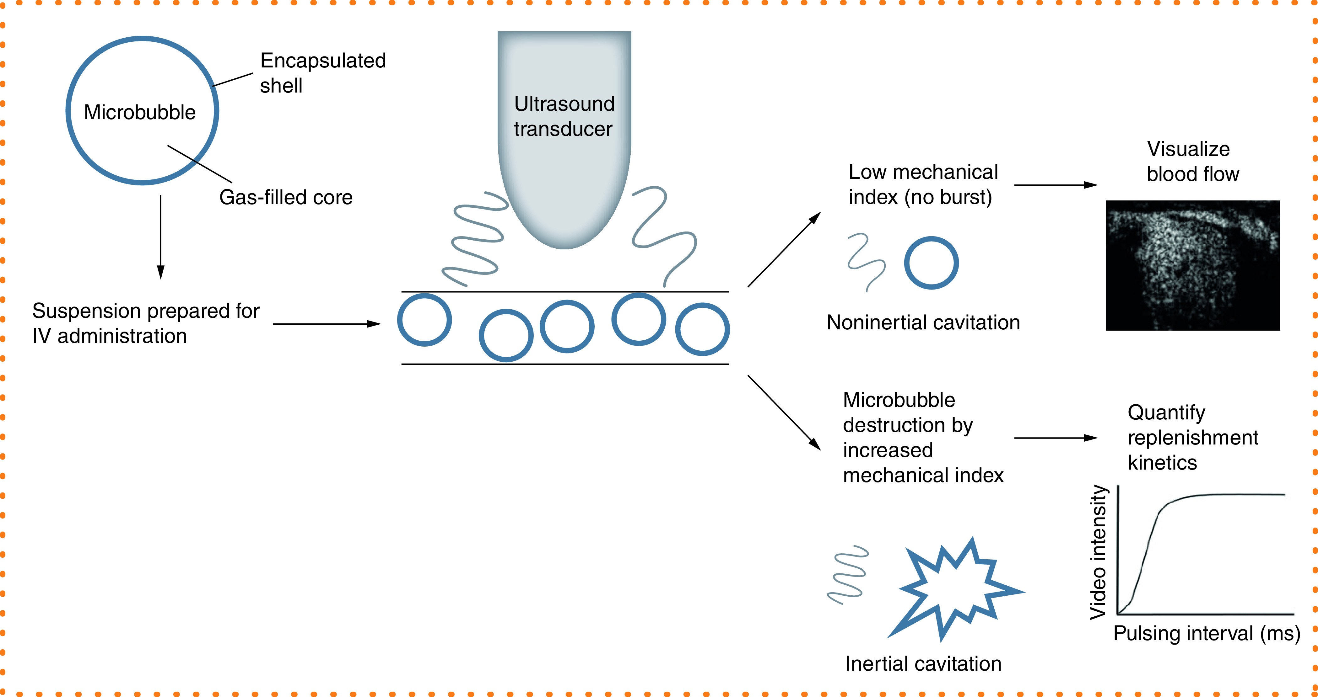 Figure 2. 