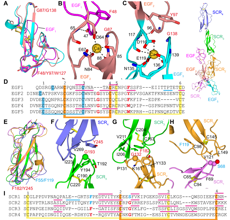 Figure 5