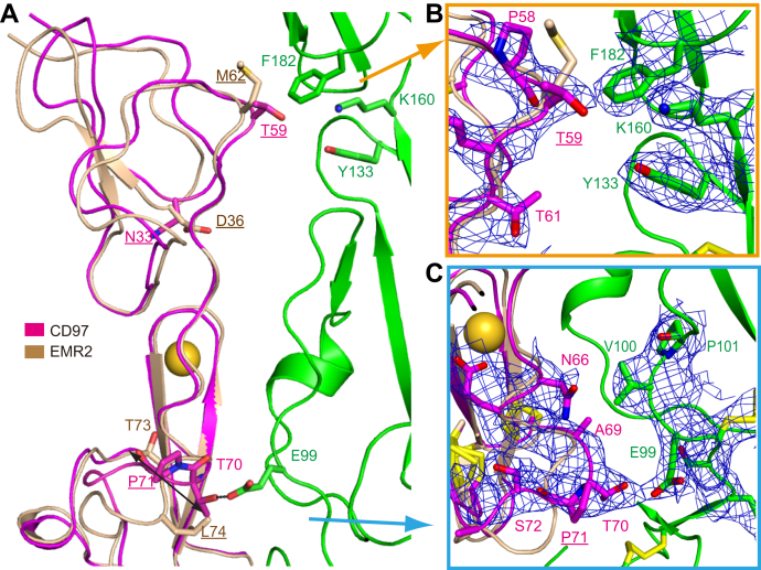 Figure 4