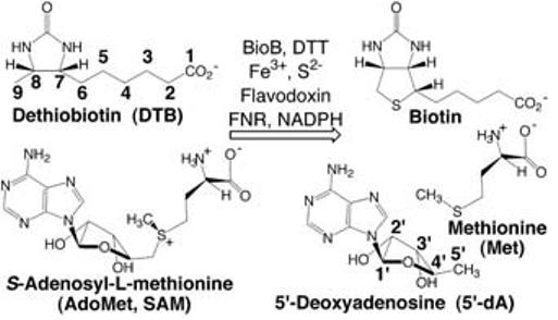 Scheme 1.