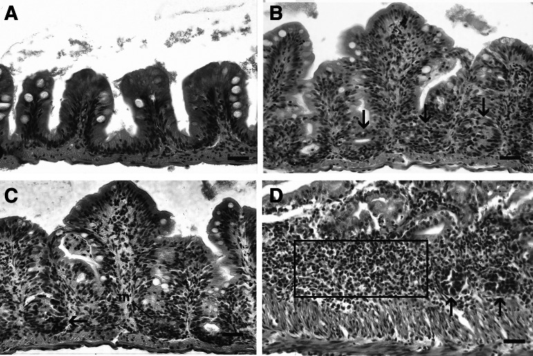 FIG. 1.