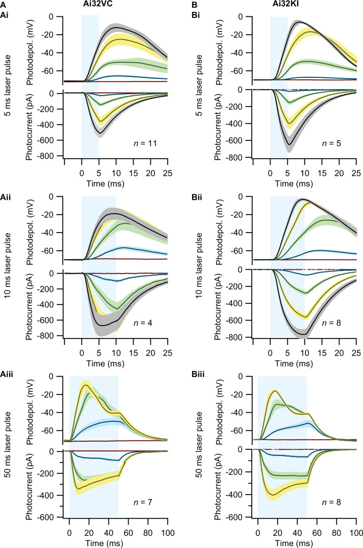 Figure 2—figure supplement 1.