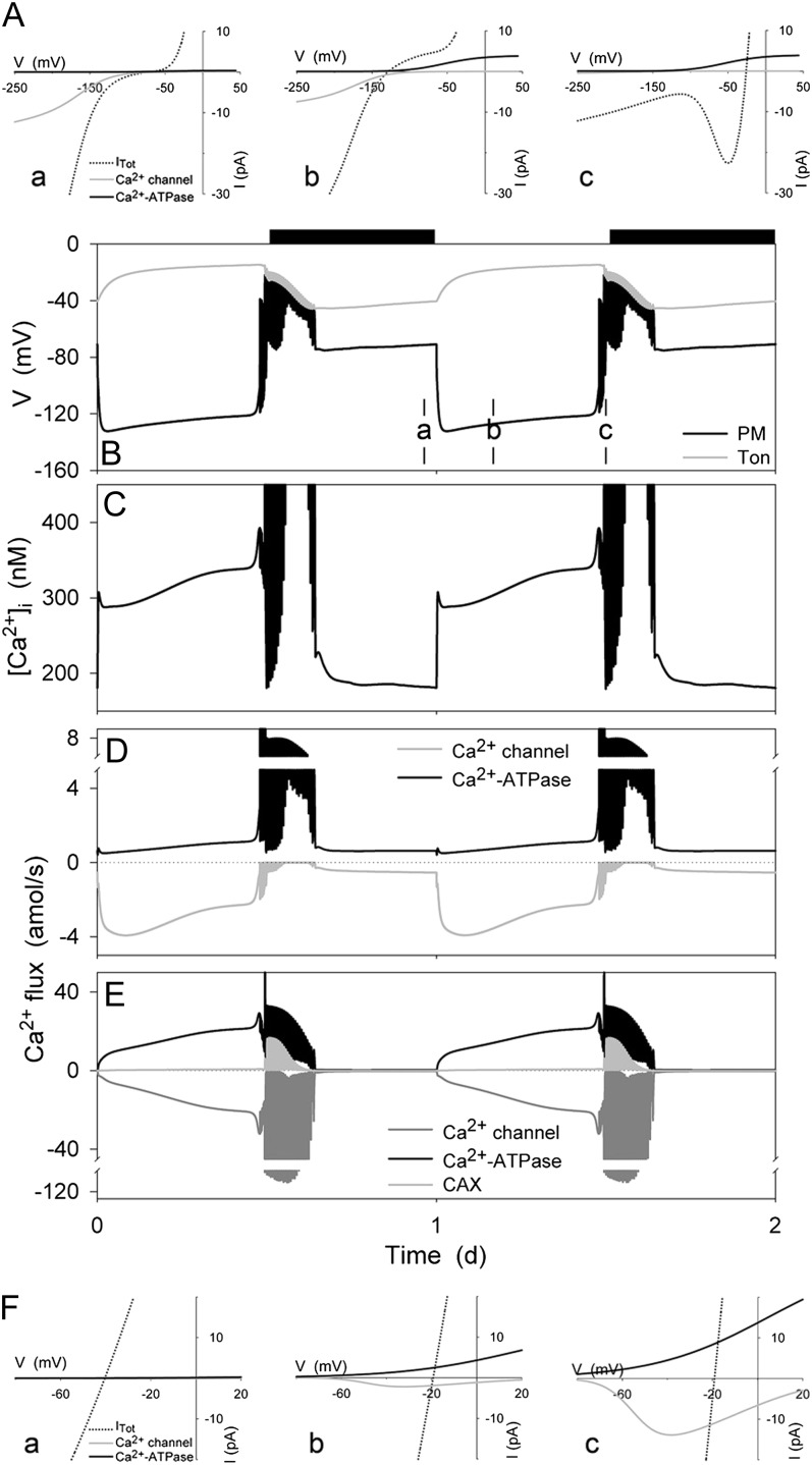 Figure 7.