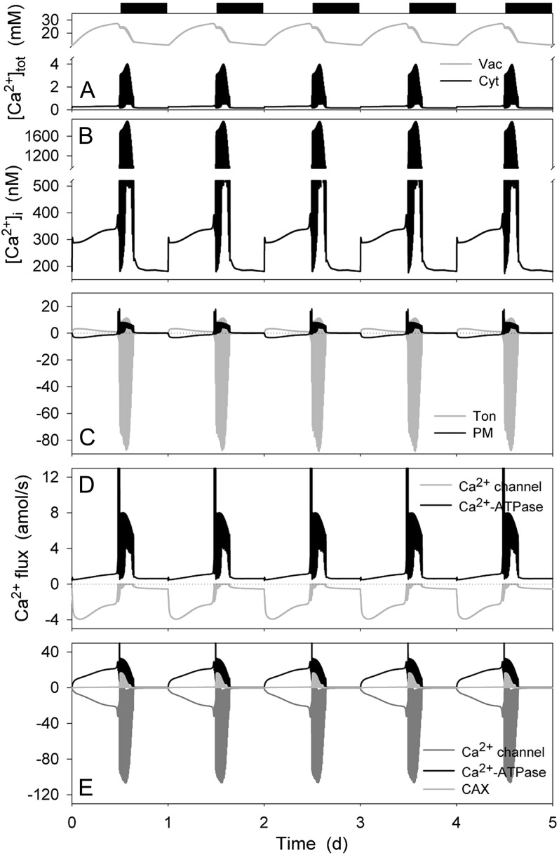 Figure 6.