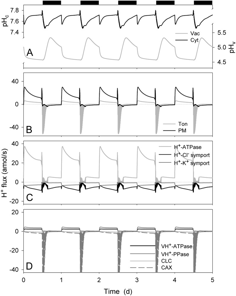 Figure 5.