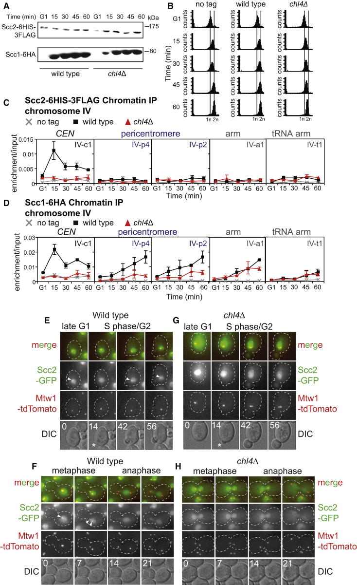 Figure 2