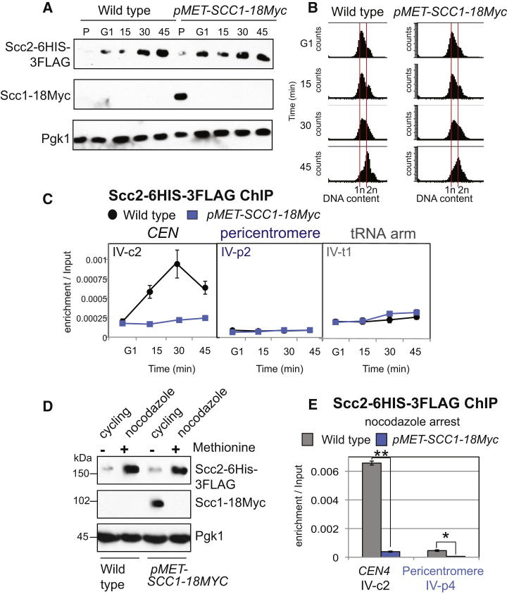 Figure 3