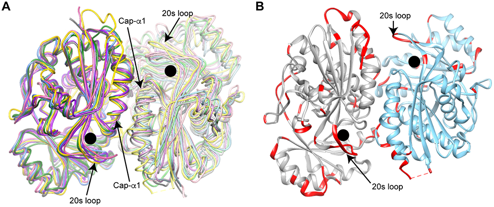 Figure 5.