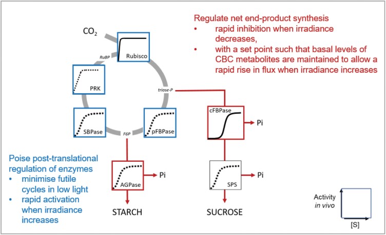 Fig. 8.