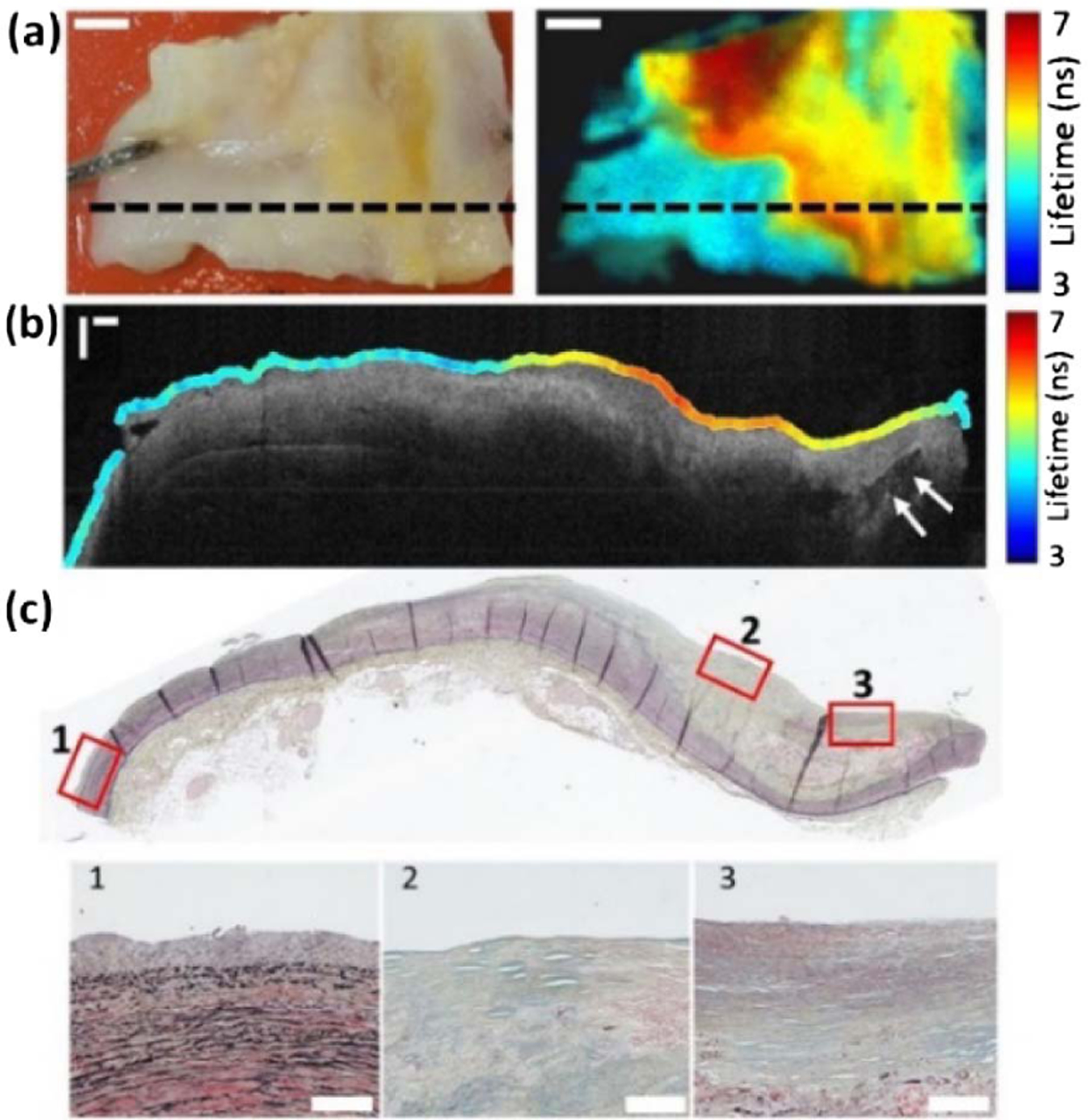 Fig. 4.