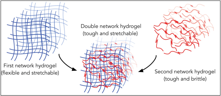 FIG. 1.