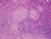 Fig. 6