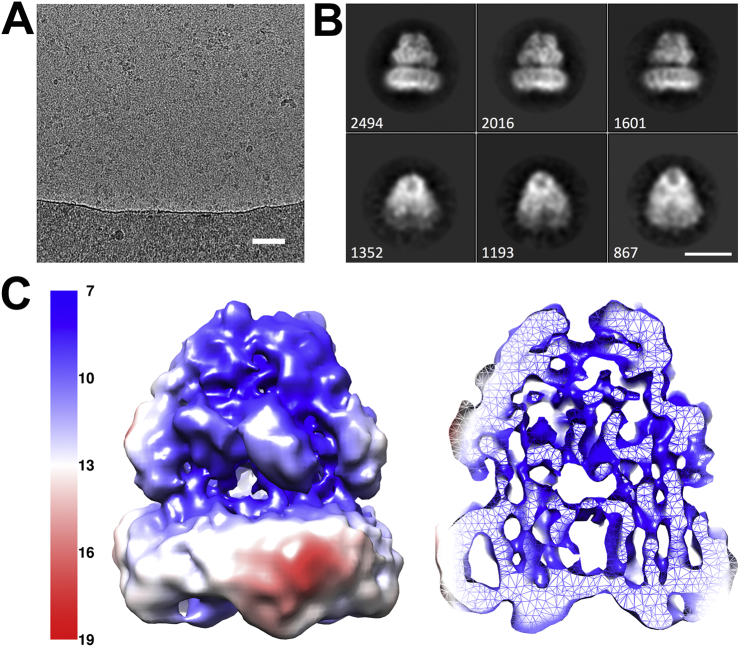 Fig. 2