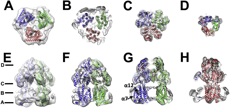 Fig. 3