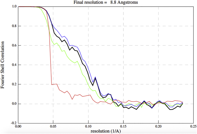 Supplemental Fig. 1