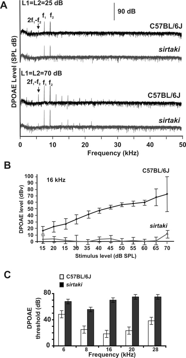 Figure 10.