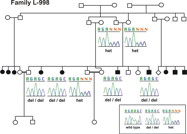 Figure 11.