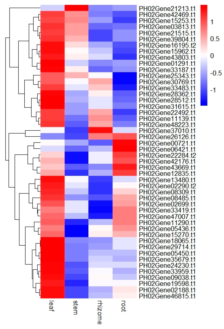 Figure 7