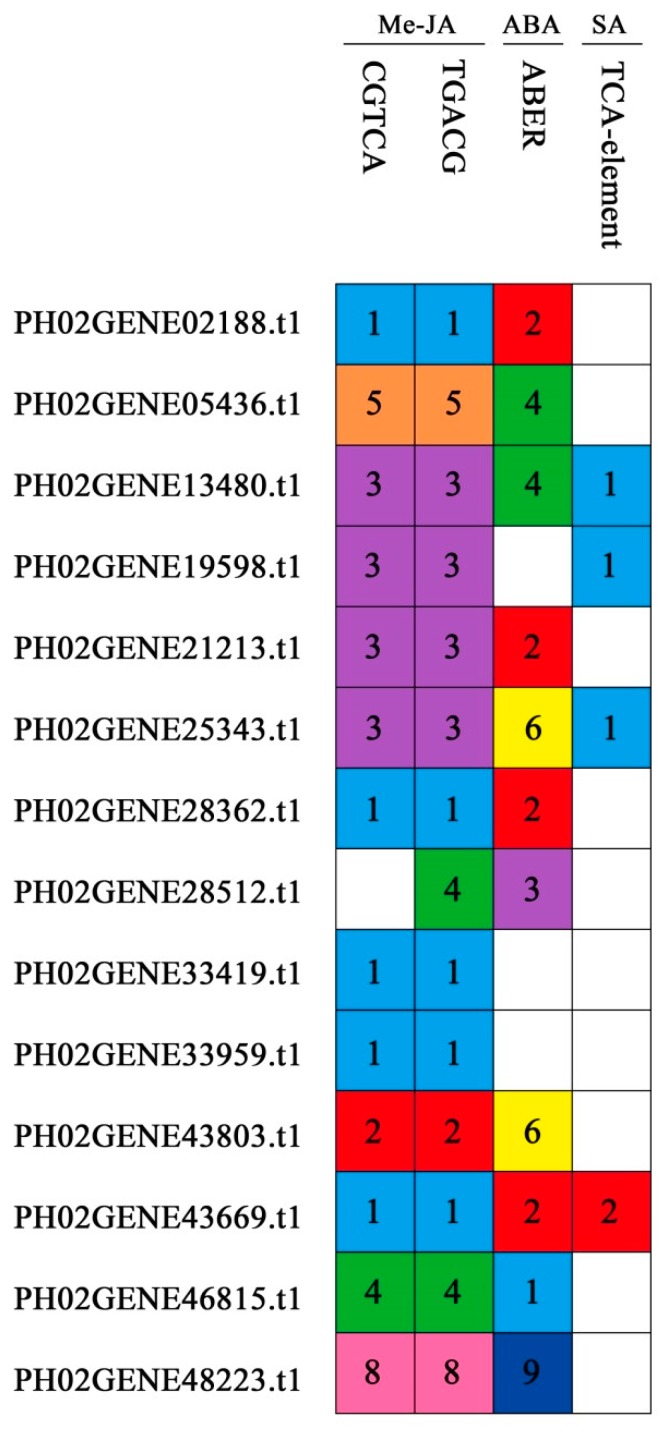 Figure 8