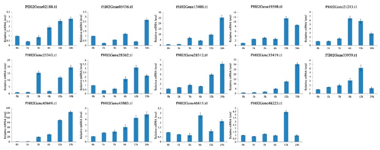 Figure 11