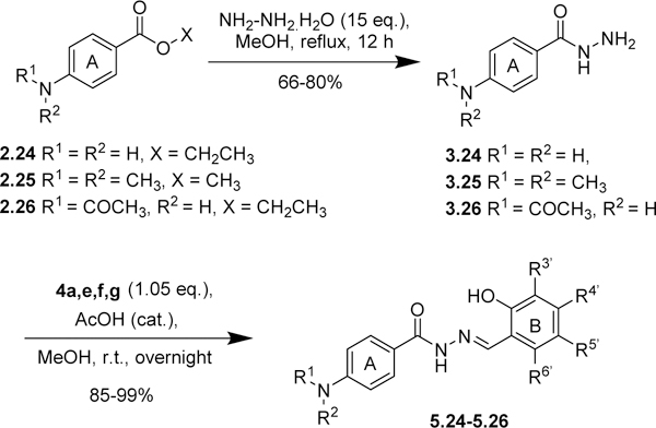 Scheme 5.