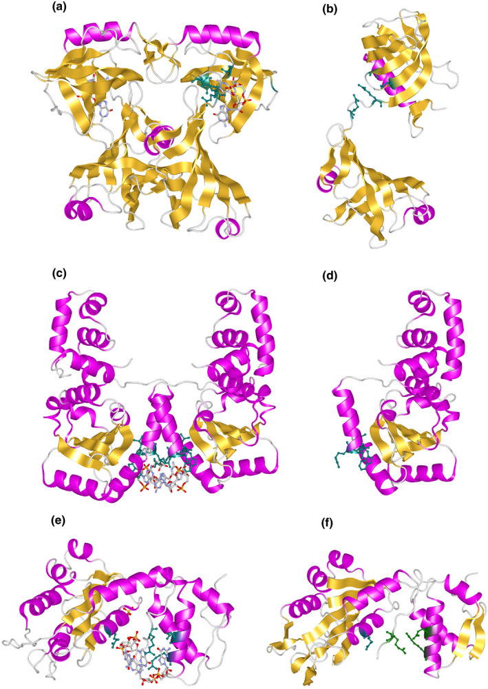 FIGURE 2