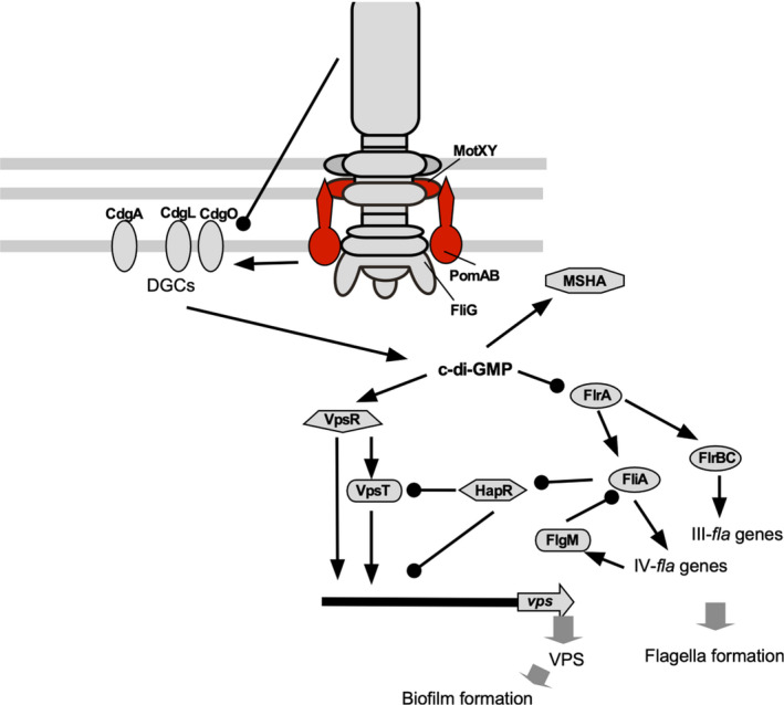 FIGURE 9