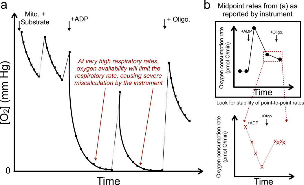 Figure 4 -