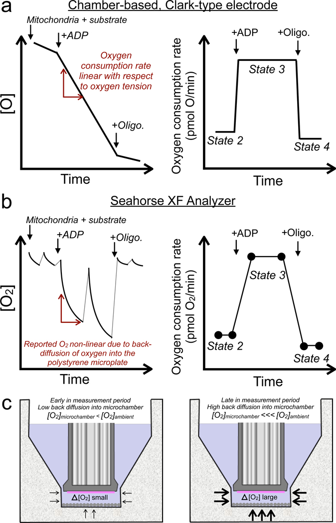 Figure 2 -