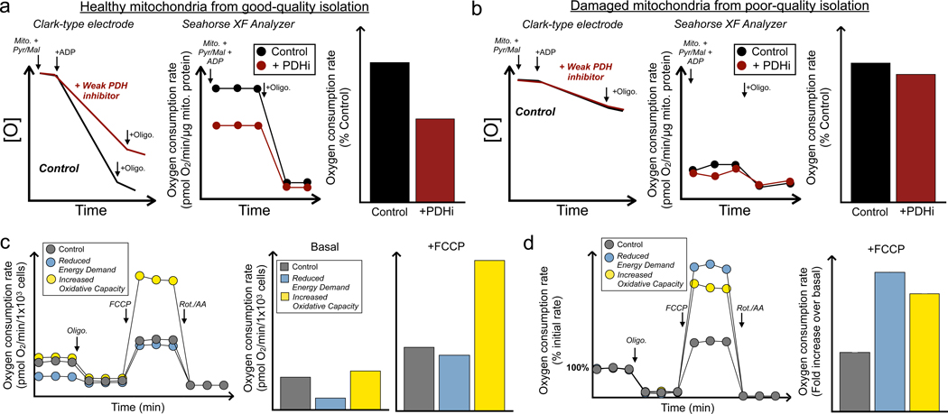 Figure 3 -