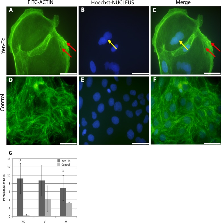 Fig 6